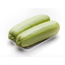 Fabrication Cucurbita Pepo Extrait 10: 1 / Extrait de courgette